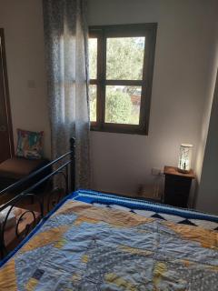 The Little House - 2
