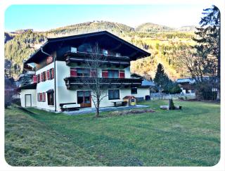 Ferienhaus Nationalpark - Neukirchen am Großvenediger - 0