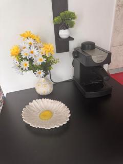 Studio Mirabela - Craiova - 5
