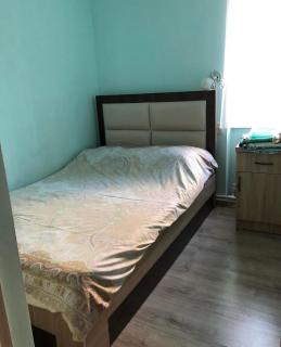 Dili house - 2