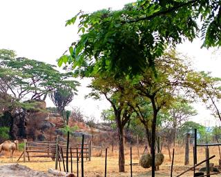 Lolo Best Location Apartment - 6