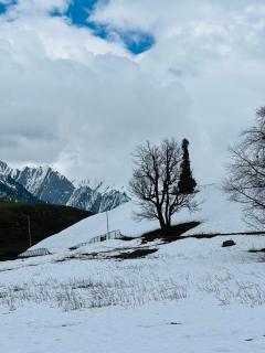 Himalayan Stay - 9