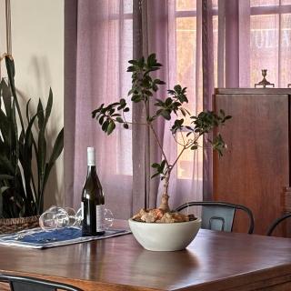 Blue Horizon APT - 1