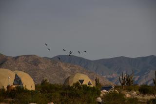 Glamping Astrapia - Cafayate - 4