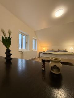 Big room in City Center at Historic Wenceslas Sq - 0