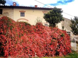 Agriturismo Villa Dauphiné - Bagno a Ripoli - 9