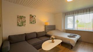 Pet-Friendly 2-Room Ground Floor Stay with Fenced Garden near Femern - 5