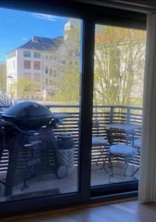 Quiet surroundings, little insight - spacious apartment - 8