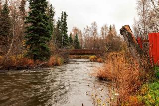 On the Creek Anchorage 2BR Hideaway Condo - 5