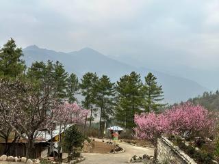 Haven Resort Paro - 3