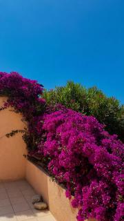 Maison de Vacances - Calvi - 3