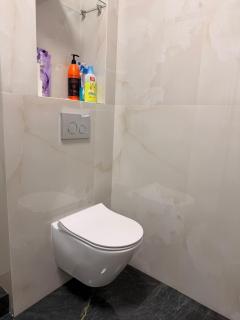 1 bed room apartment near Sayran lake - 1