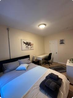 -No3C- Private Room in a Cozy Apartment - Steps to T Orange Line & Boston Medical Center - South End Near Downtown Boston - 5
