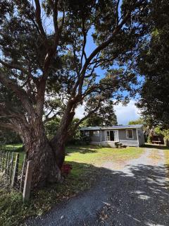 The Bach at One Tree Point - 4