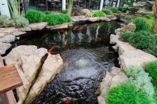 Bai Dinh Eco Garden - 1