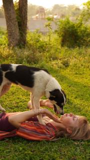 HOSTEL ANIMAL LOvE - 7