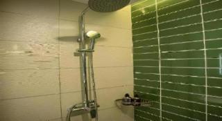 Green Tree Inn Hebei Handan Guantao County Weizheng Road - 8