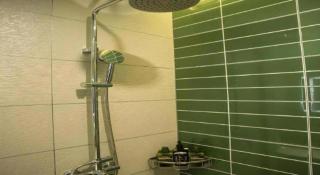 Green Tree Inn Hebei Handan Guantao County Weizheng Road - 8