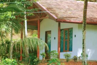 Rain Forest Soul Villa - 5