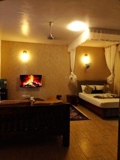 Beachside furnished studio with pool -diani - 4
