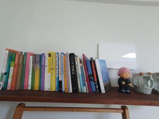 상록수 sangroksu - 4