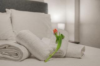 Amelie's Stylish City Apartement - 6