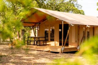 Glamping Tent, Hike, Smore Vibes - 8