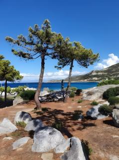Sant Ambrogggio Vue Sur Mer - 2