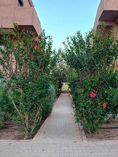 Sidi Baloo Ait Bihi - 5