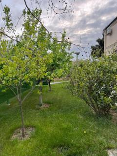 Green Villa Novkhani - 9