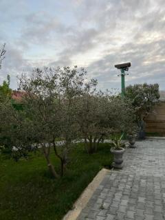 Green Villa Novkhani - 7