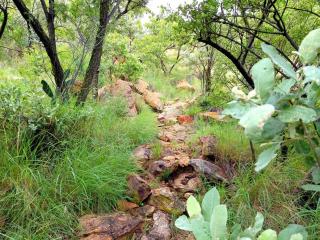 Shallow Pig Cottage - 6
