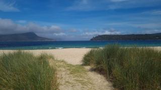 Beach & Forest Stay - 5