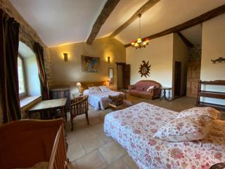 Gîte Les fermes de Rieumal Hameau Cévenol Prestige - 3