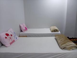 شقه النيل - 1