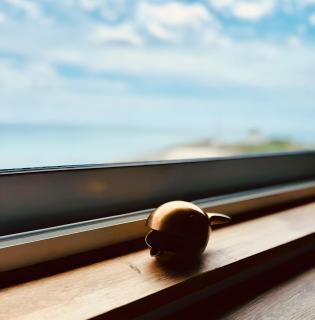 Appartement duplex vue mer - 7