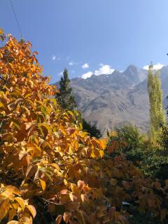 Gasherbrum House - 8
