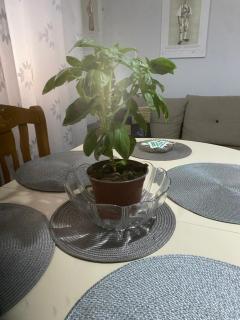 Robert Apartament Center - 5