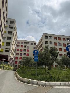 13 Daily apartments -  - 6