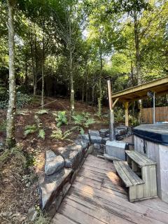 Deep Forest - 3