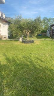 Guesthouse Oasis - 5