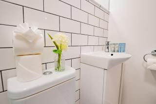 Ground Floor Studio in Central Rathmines Dublin - 5