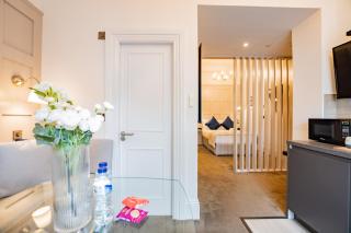 Ground Floor Studio in Central Rathmines Dublin - 2