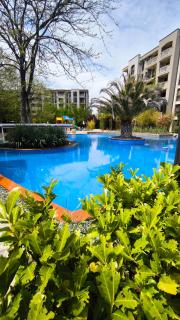 Cascadas, Studio apartment with a pool view - 7