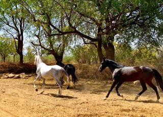The Mountbatten Lodge - 9
