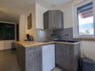 Le Pic Noir, appartement vue lac et montagnes - 1