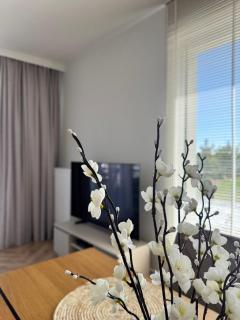 Pino SeaView - 8