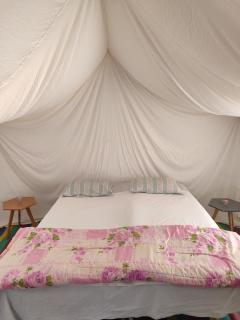 Campement Sahara Oasis Douz - 9