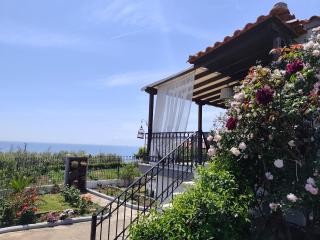 Thea Panorama - 9