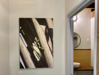 Ruime caravan met prive sanitair, laadpaal en vast bed - 3